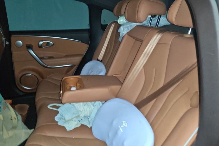 Used ORA Lightning Cat 2022 555 km Luxury Edition Left Rear Seat