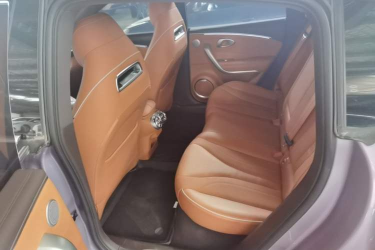 Used ORA Lightning Cat 2022 555 km Luxury Edition Left Rear Seat