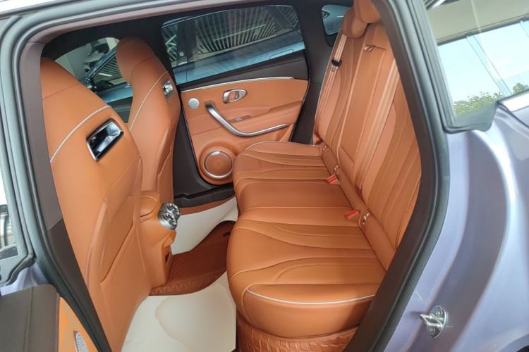 Used ORA Lightning Cat 2022 555 km Luxury Edition Left Rear Seat