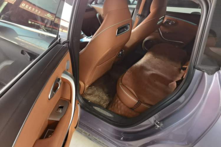 Used ORA Lightning Cat 2022 555 km Luxury Edition Left Rear Seat