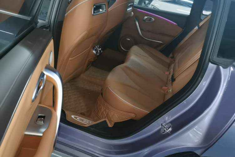 Used ORA Lightning Cat 2022 555 km Luxury Edition Left Rear Seat