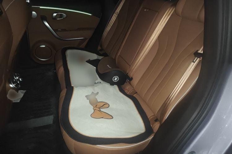 Used ORA Lightning Cat 2022 555 km Luxury Edition Left Rear Seat
