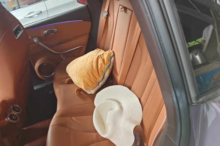 Used ORA Lightning Cat 2022 555 km Luxury Edition Left Rear Seat