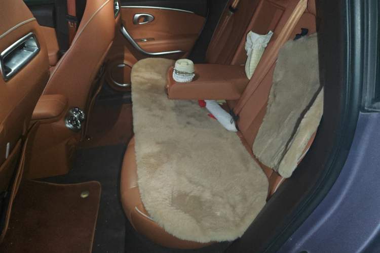 Used ORA Lightning Cat 2022 555 km Luxury Edition Left Rear Seat