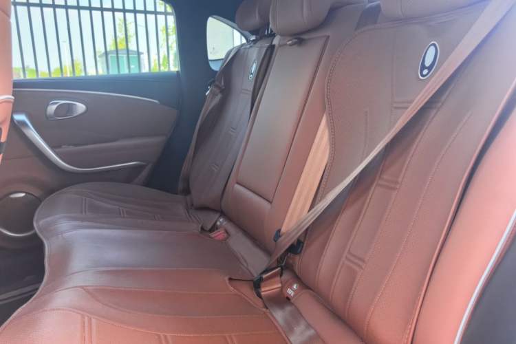 Used ORA Lightning Cat 2022 555 km Luxury Edition Left Rear Seat