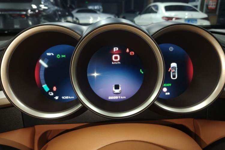 Used ORA Lightning Cat 2022 555 km Luxury Edition Odometer Close Up
