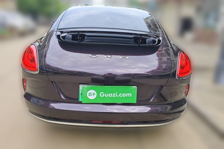 Used ORA Lightning Cat 2022 555 km Luxury Edition Rear