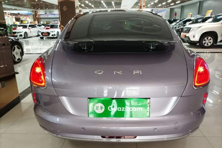 Used ORA Lightning Cat 2022 555 km Luxury Edition Rear