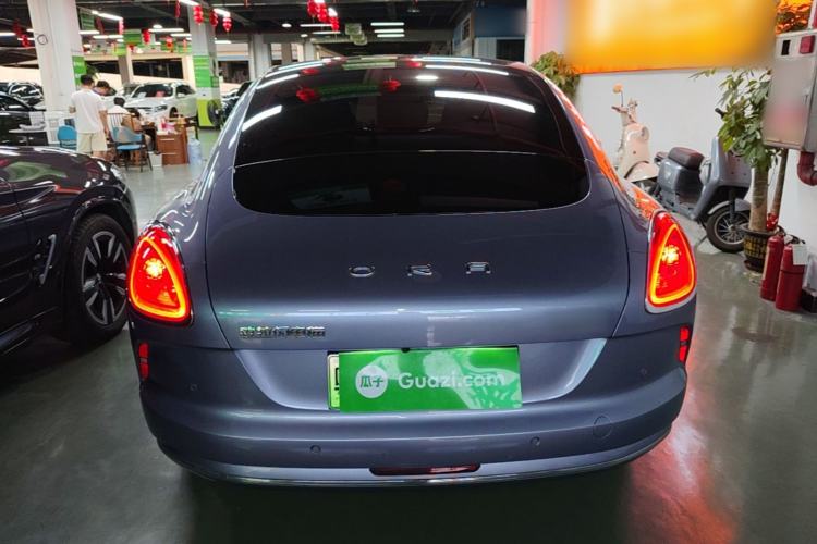 Used ORA Lightning Cat 2022 555 km Luxury Edition Rear