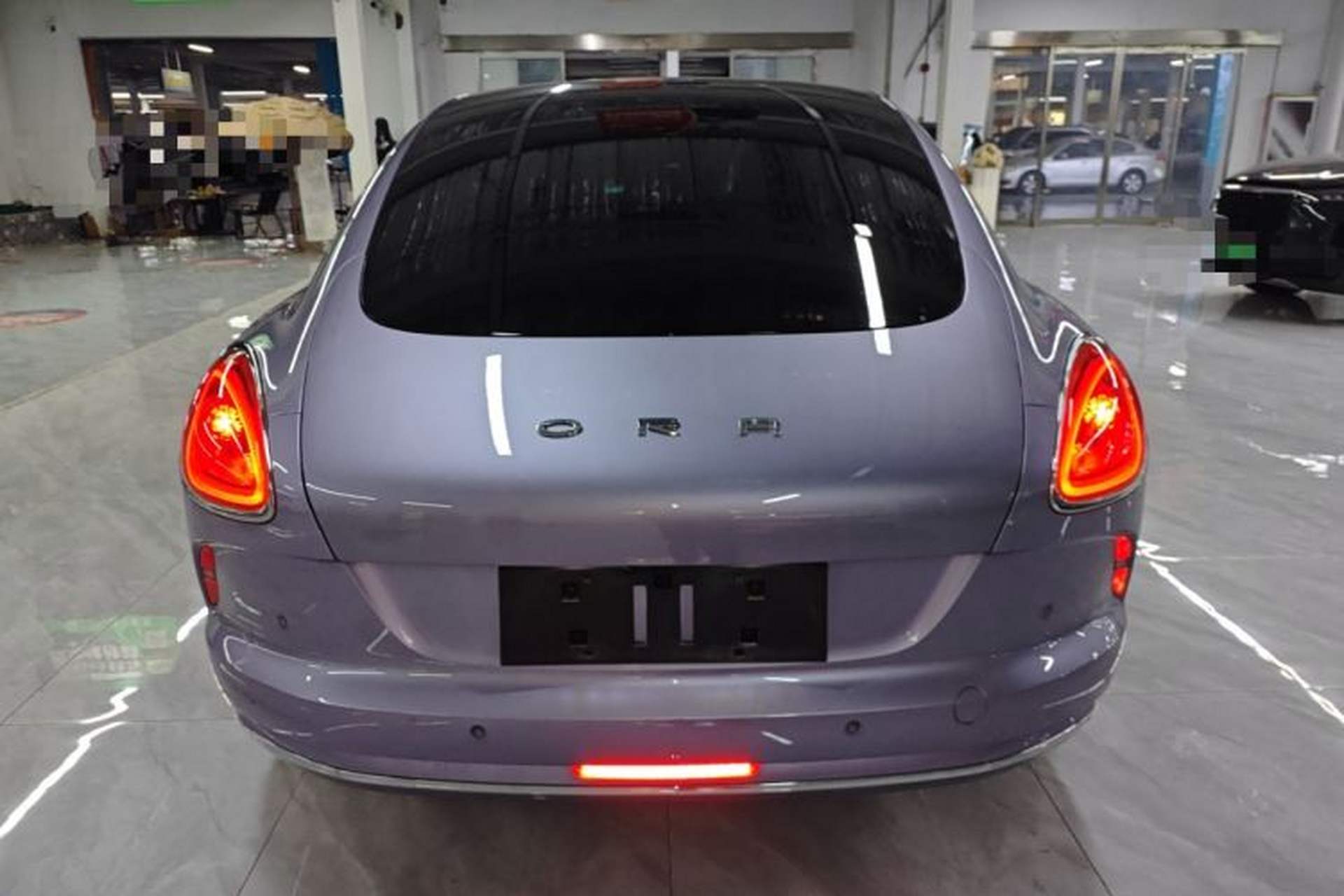 Used ORA Lightning Cat 2022 555 km Luxury Edition Rear