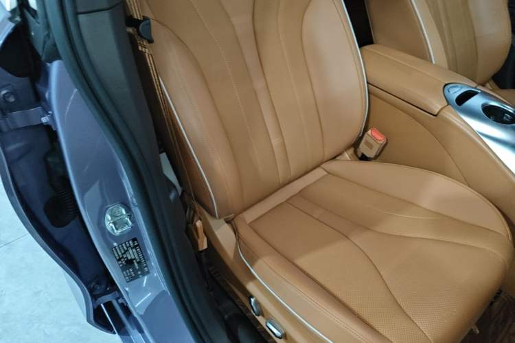 Used ORA Lightning Cat 2022 555 km Luxury Edition Right Front Seat