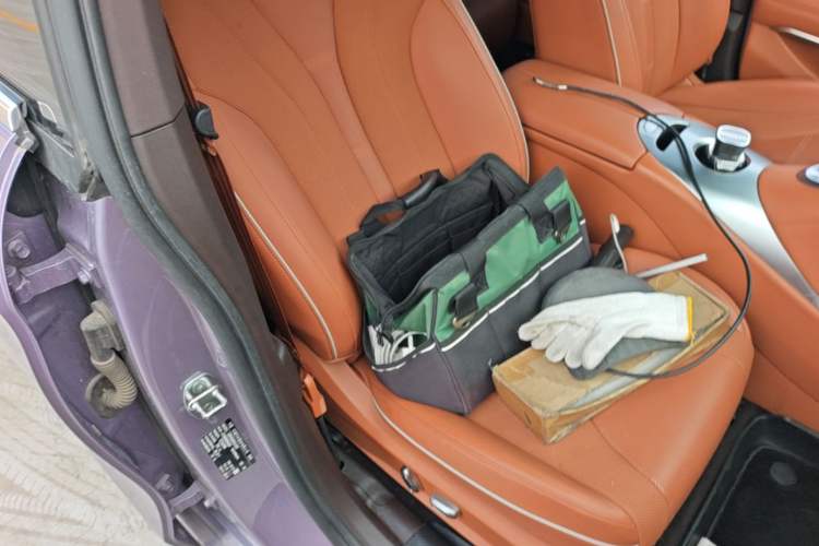 Used ORA Lightning Cat 2022 555 km Luxury Edition Right Front Seat