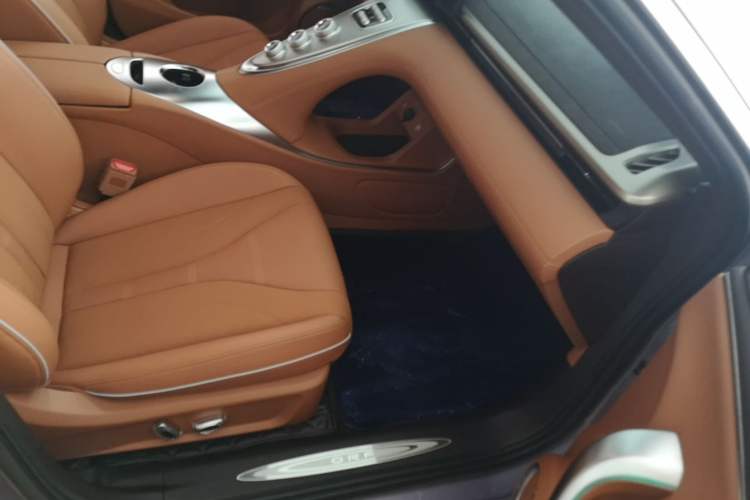 Used ORA Lightning Cat 2022 555 km Luxury Edition Right Front Seat