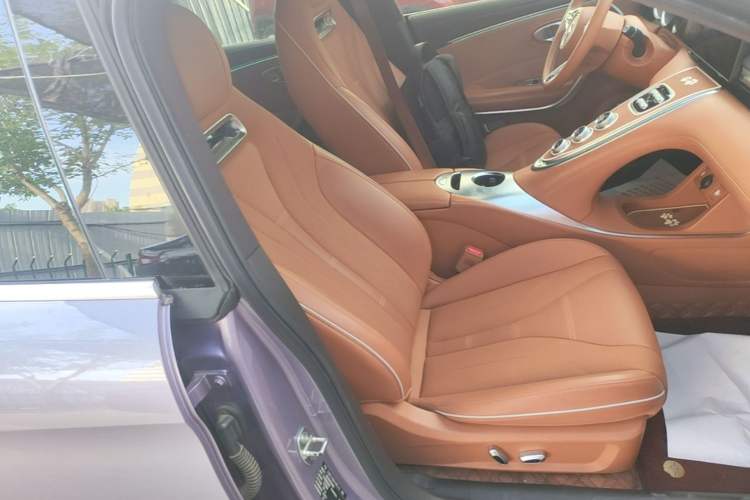 Used ORA Lightning Cat 2022 555 km Luxury Edition Right Front Seat