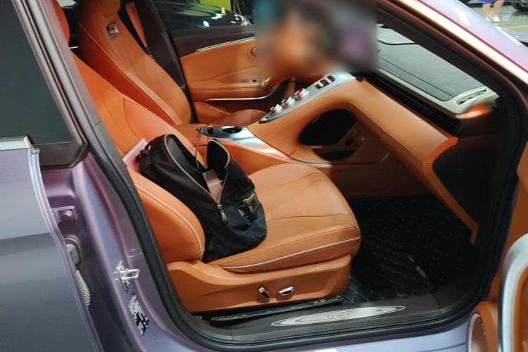 Used ORA Lightning Cat 2022 555 km Luxury Edition Right Front Seat