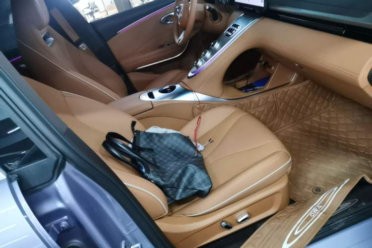 Used ORA Lightning Cat 2022 555 km Luxury Edition Right Front Seat