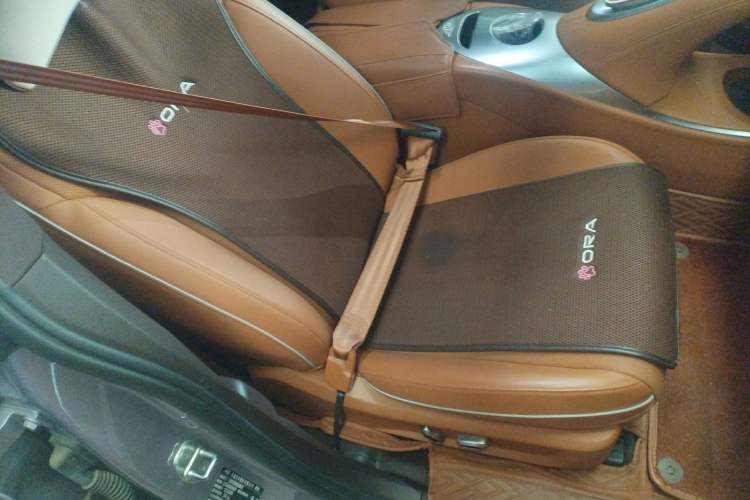 Used ORA Lightning Cat 2022 555 km Luxury Edition Right Front Seat