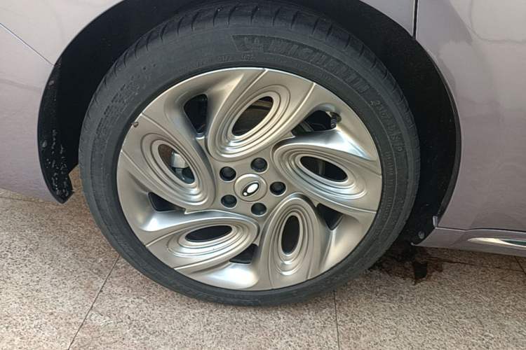 Used ORA Lightning Cat 2022 555 km Luxury Edition Right Rear Wheel Hub