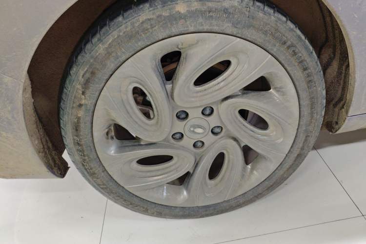 Used ORA Lightning Cat 2022 555 km Luxury Edition Right Rear Wheel Hub