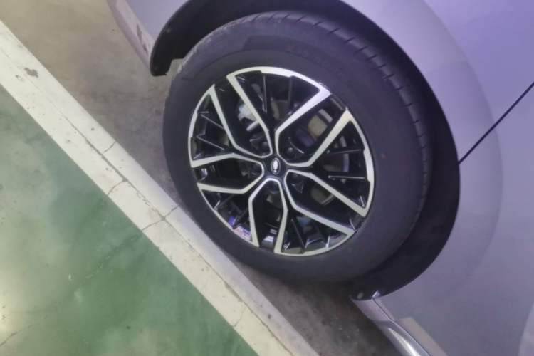 Used ORA Lightning Cat 2022 555 km Luxury Edition Right Rear Wheel Hub