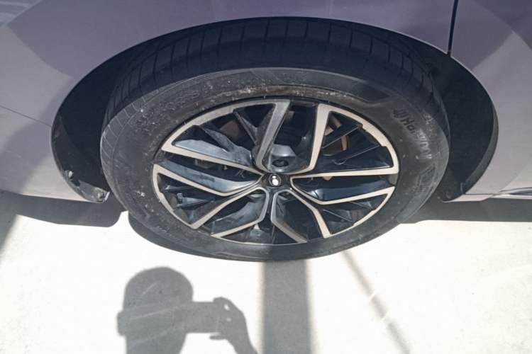 Used ORA Lightning Cat 2022 555 km Luxury Edition Right Rear Wheel Hub