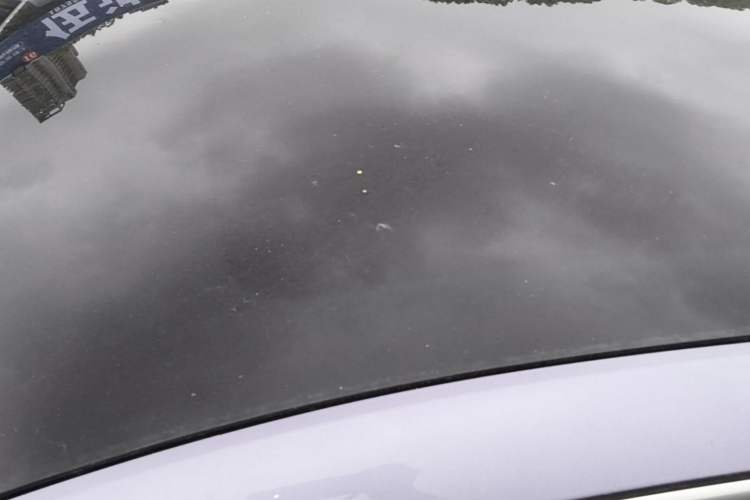 Used ORA Lightning Cat 2022 555 km Luxury Edition Roof
