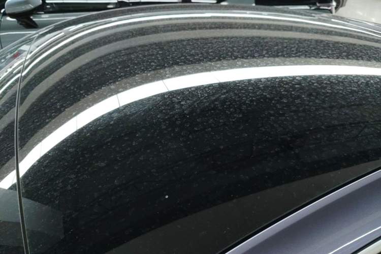 Used ORA Lightning Cat 2022 555 km Luxury Edition Roof