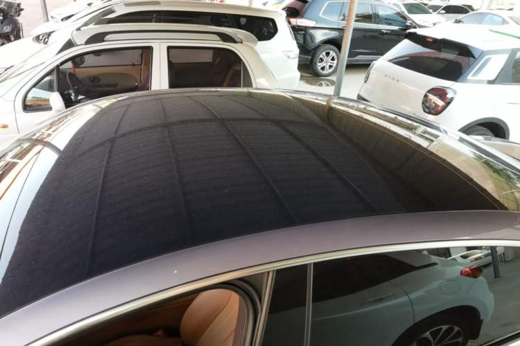 Used ORA Lightning Cat 2022 555 km Luxury Edition Roof