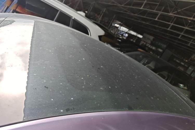 Used ORA Lightning Cat 2022 555 km Luxury Edition Roof