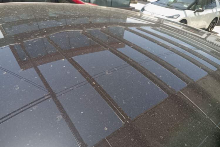 Used ORA Lightning Cat 2022 555 km Luxury Edition Roof
