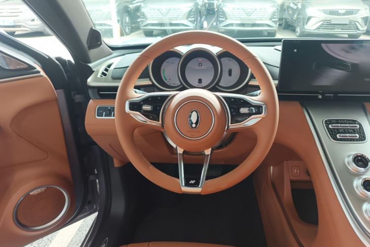 Used ORA Lightning Cat 2022 555 km Luxury Edition Steering Wheel