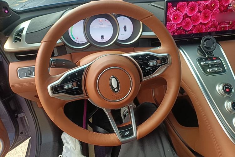 Used ORA Lightning Cat 2022 555 km Luxury Edition Steering Wheel