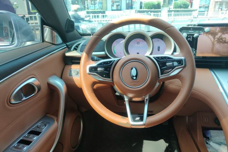 Used ORA Lightning Cat 2022 555 km Luxury Edition Steering Wheel