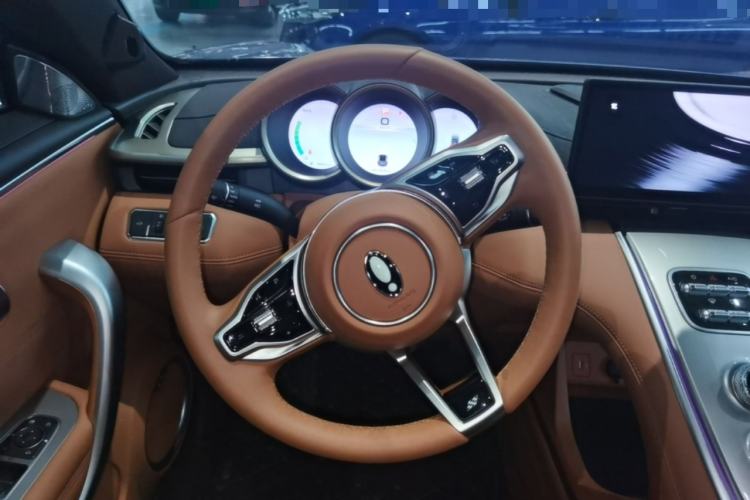 Used ORA Lightning Cat 2022 555 km Luxury Edition Steering Wheel