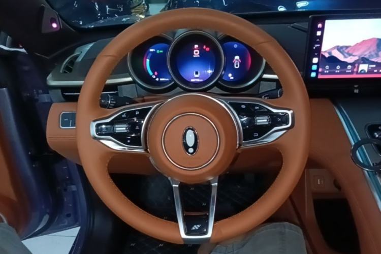 Used ORA Lightning Cat 2022 555 km Luxury Edition Steering Wheel