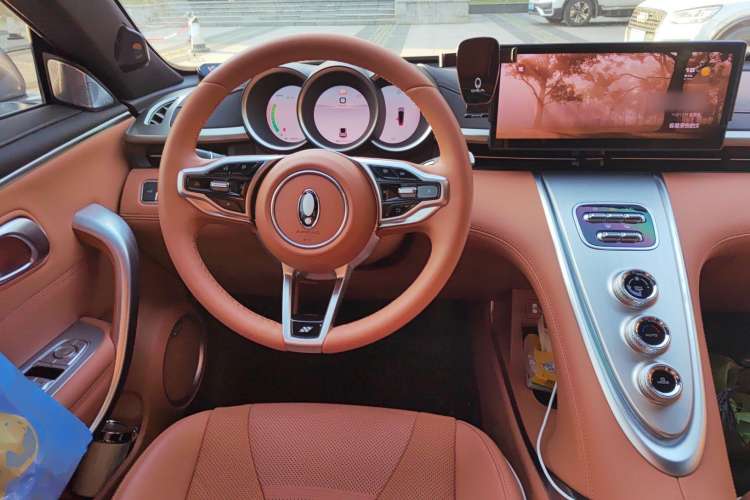 Used ORA Lightning Cat 2022 555 km Luxury Edition Steering Wheel
