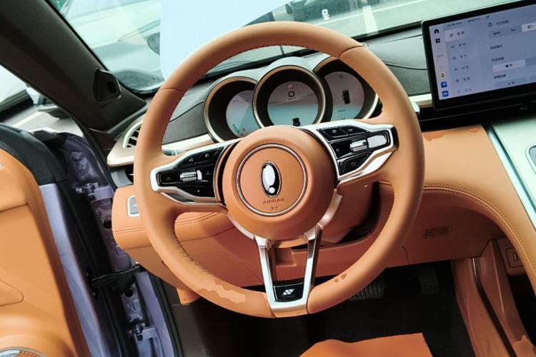 Used ORA Lightning Cat 2022 555 km Luxury Edition Steering Wheel