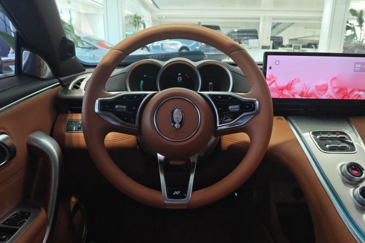 Used ORA Lightning Cat 2022 555 km Luxury Edition Steering Wheel