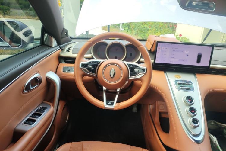 Used ORA Lightning Cat 2022 555 km Luxury Edition Steering Wheel