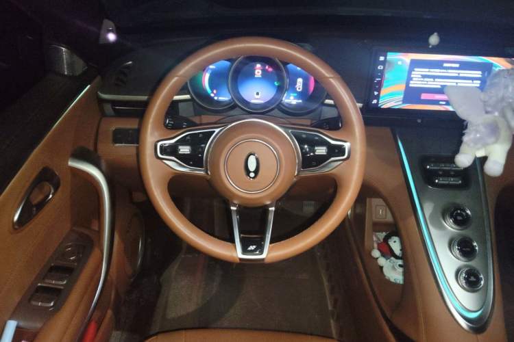 Used ORA Lightning Cat 2022 555 km Luxury Edition Steering Wheel