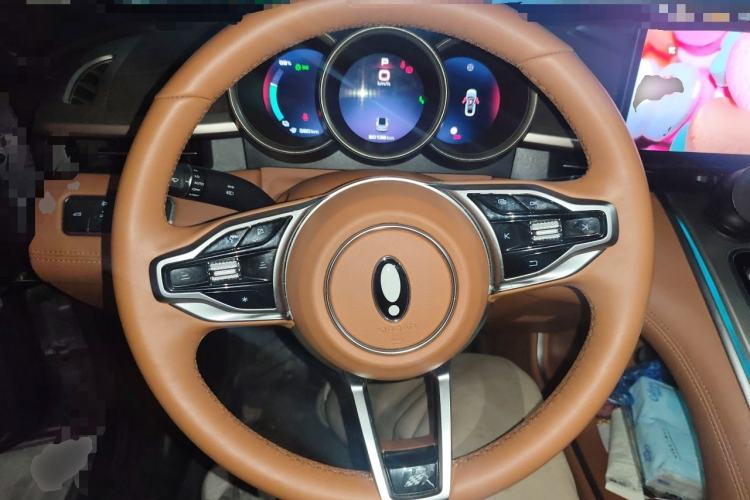 Used ORA Lightning Cat 2022 555 km Luxury Edition Steering Wheel