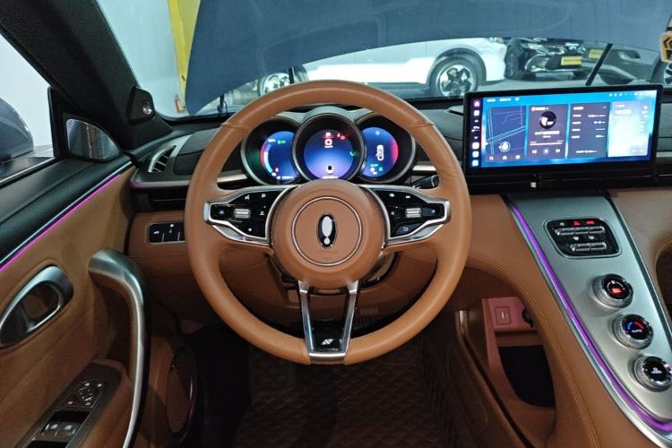 Used ORA Lightning Cat 2022 555 km Luxury Edition Steering Wheel