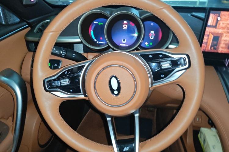 Used ORA Lightning Cat 2022 555 km Luxury Edition Steering Wheel