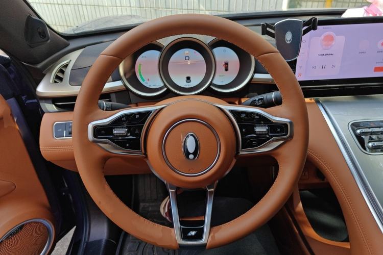 Used ORA Lightning Cat 2022 555 km Luxury Edition Steering Wheel