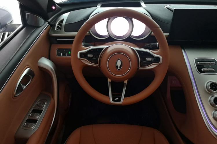 Used ORA Lightning Cat 2022 555 km Luxury Edition Steering Wheel