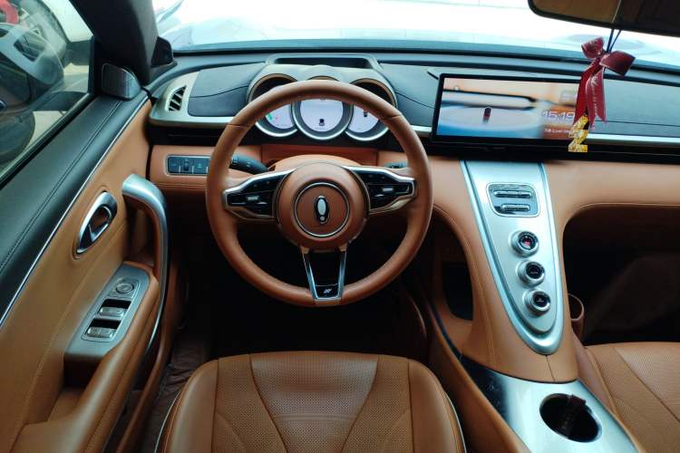 Used ORA Lightning Cat 2022 555 km Luxury Edition Steering Wheel