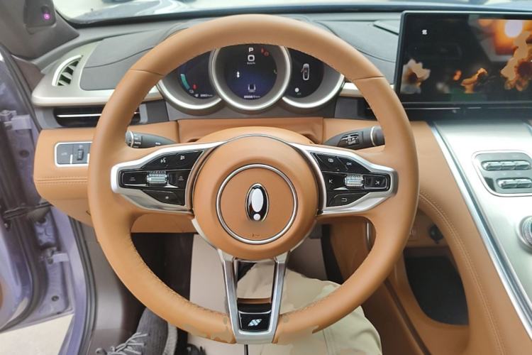 Used ORA Lightning Cat 2022 555 km Luxury Edition Steering Wheel