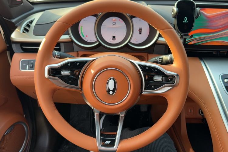 Used ORA Lightning Cat 2022 555 km Luxury Edition Steering Wheel