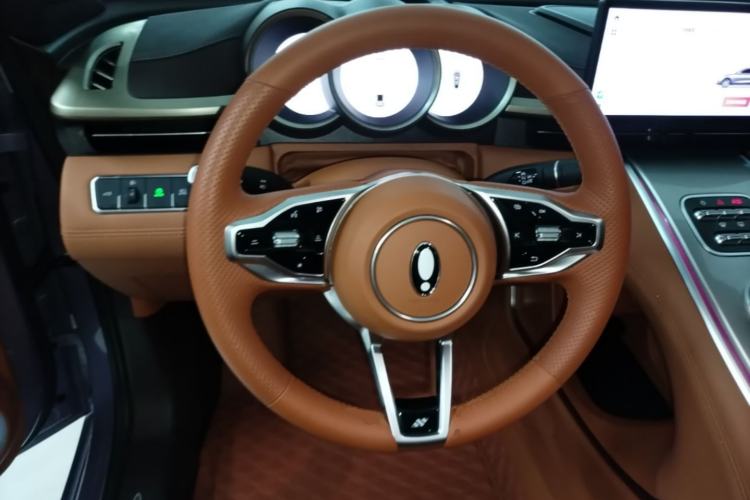 Used ORA Lightning Cat 2022 555 km Luxury Edition Steering Wheel