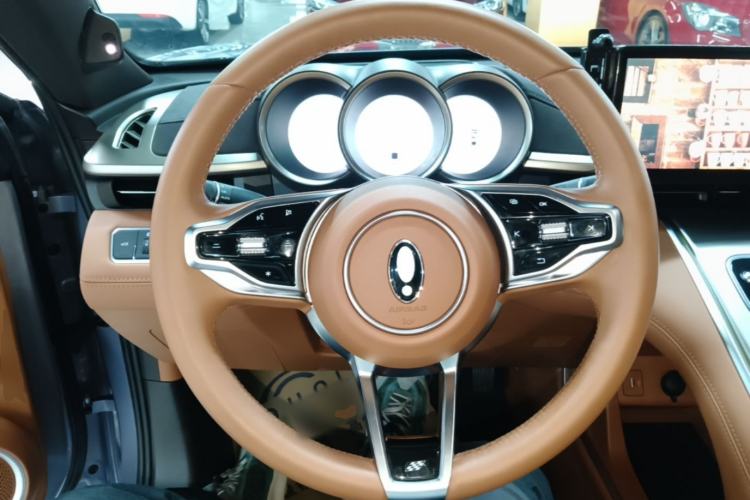 Used ORA Lightning Cat 2022 555 km Luxury Edition Steering Wheel